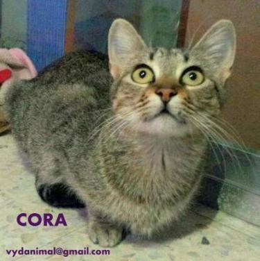 CORA